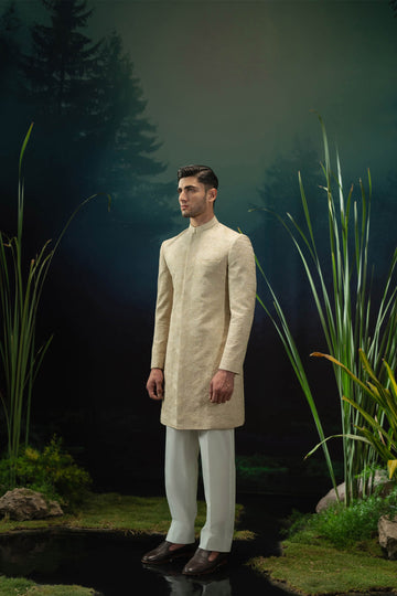 SHERWANI-ARTICLE # 401