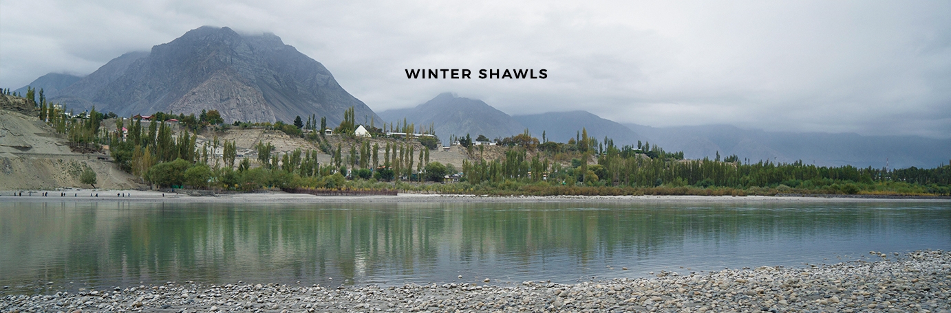 Winter Shawls
